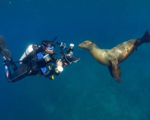 certificacion buceo baja california