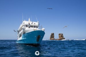 crucero vida bordo galapagos