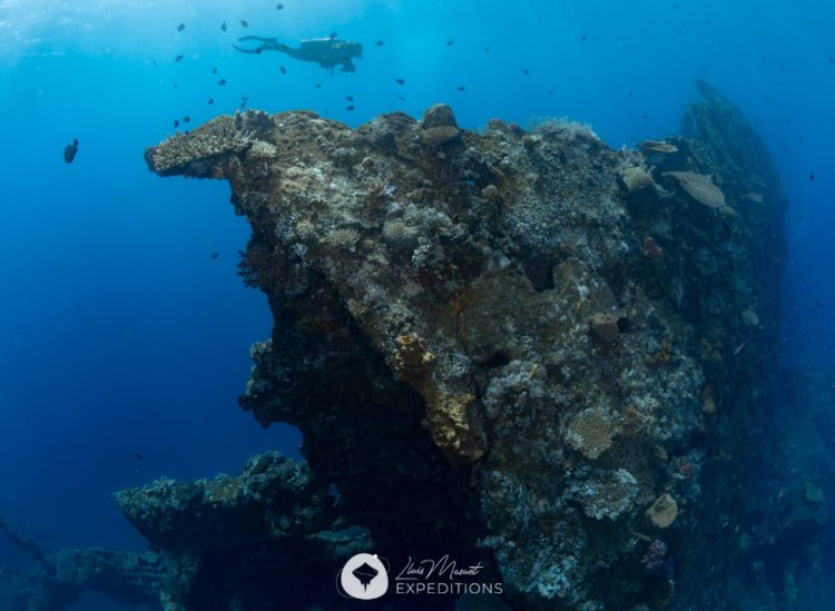 liberty wreck tulamben bali buceo