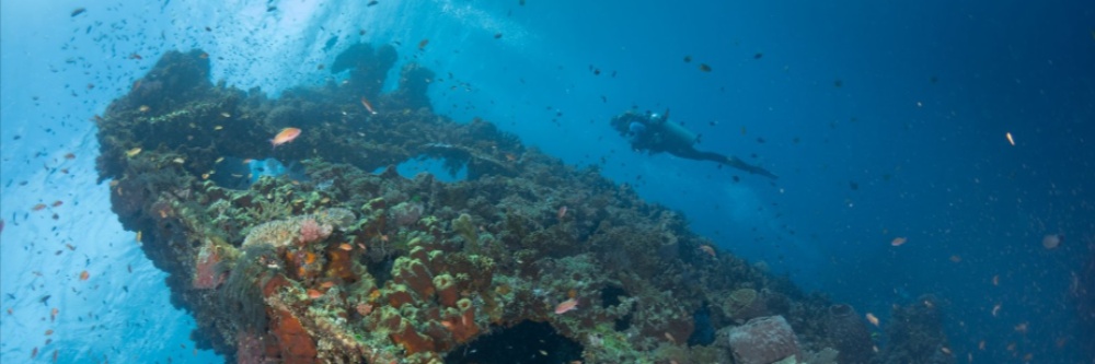 viaje de buceo en bali