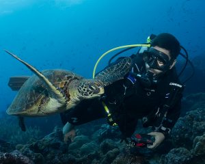 mejores destinos buceo 2026