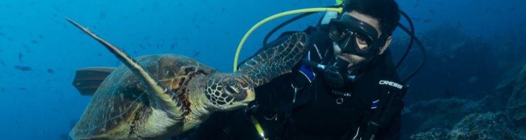 mejores destinos buceo 2026