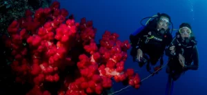 buceo en islas togian