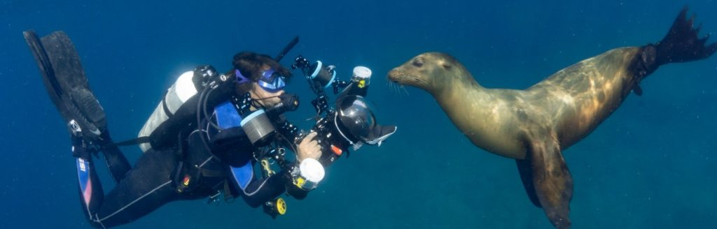 certificacion buceo baja california