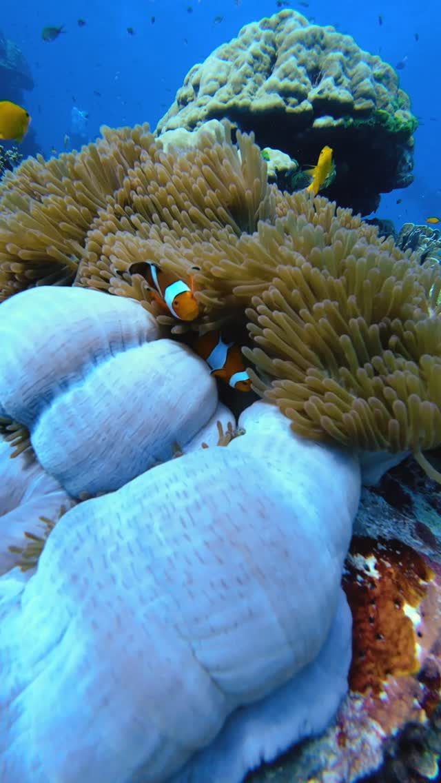 Instagram post from temoana_expeditions. This post is in position 12.