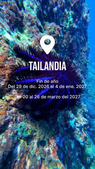 Instagram post from temoana_expeditions. This post is in position 13.