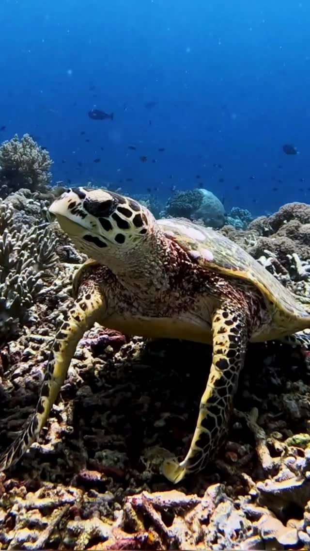 Instagram post from temoana_expeditions. This post is in position 8.