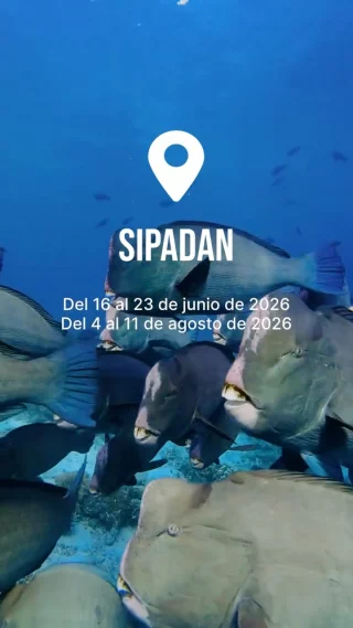 Instagram post from temoana_expeditions. This post is in position 10.