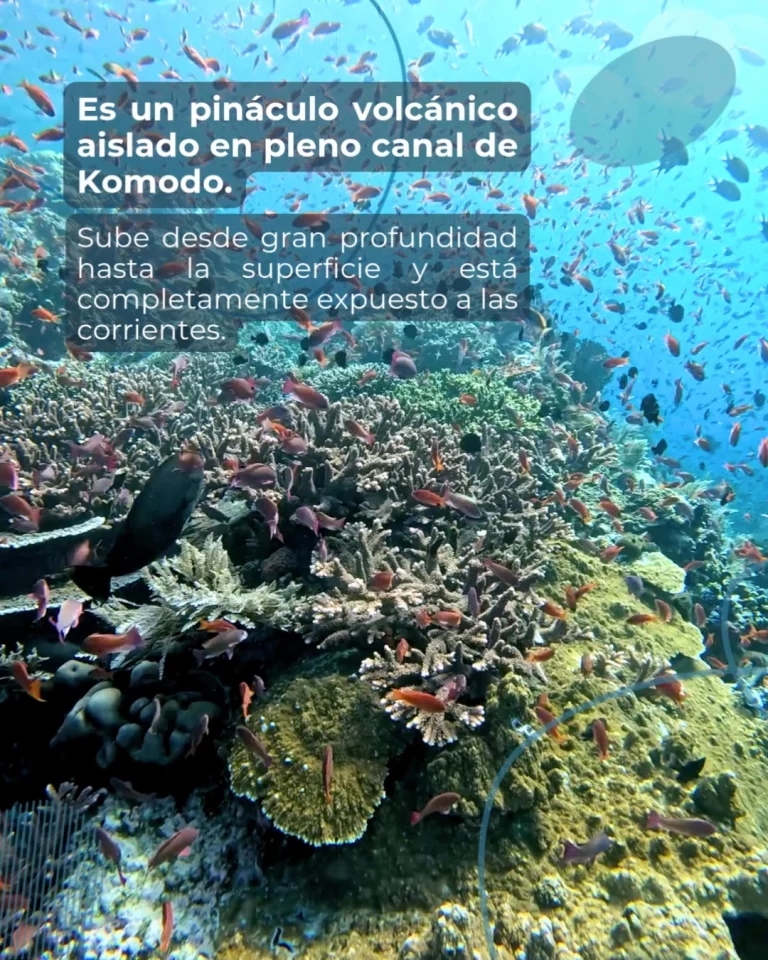 Instagram post from temoana_expeditions. This post is in position 1.