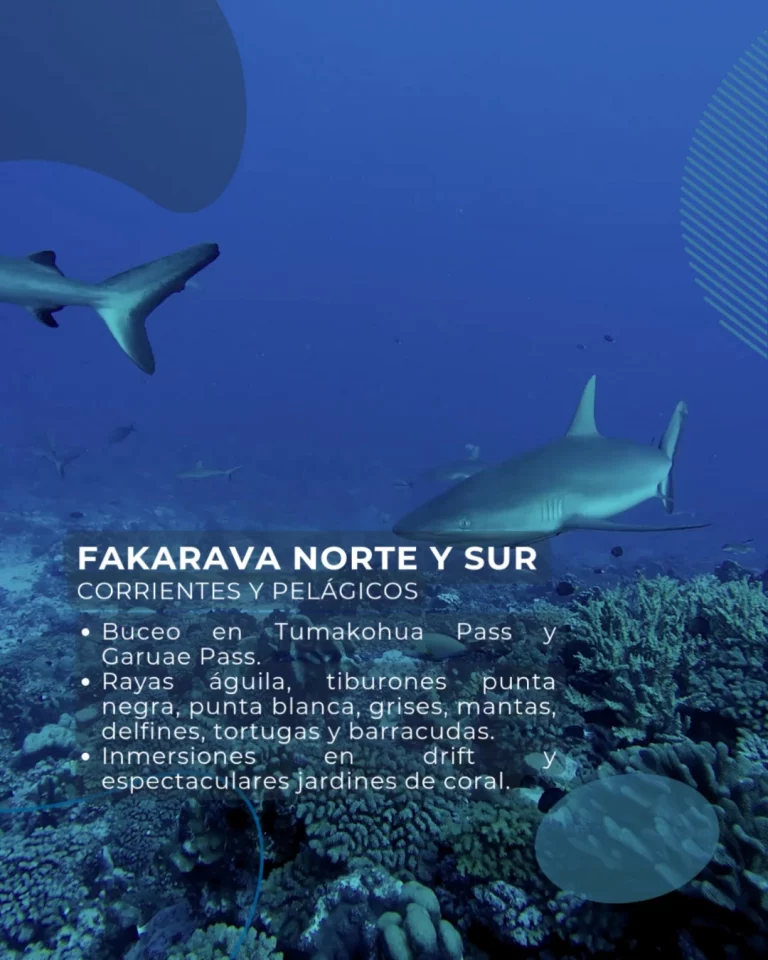Instagram post from temoana_expeditions. This post is in position 3.