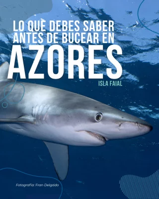 Instagram post from temoana_expeditions. This post is in position 1.