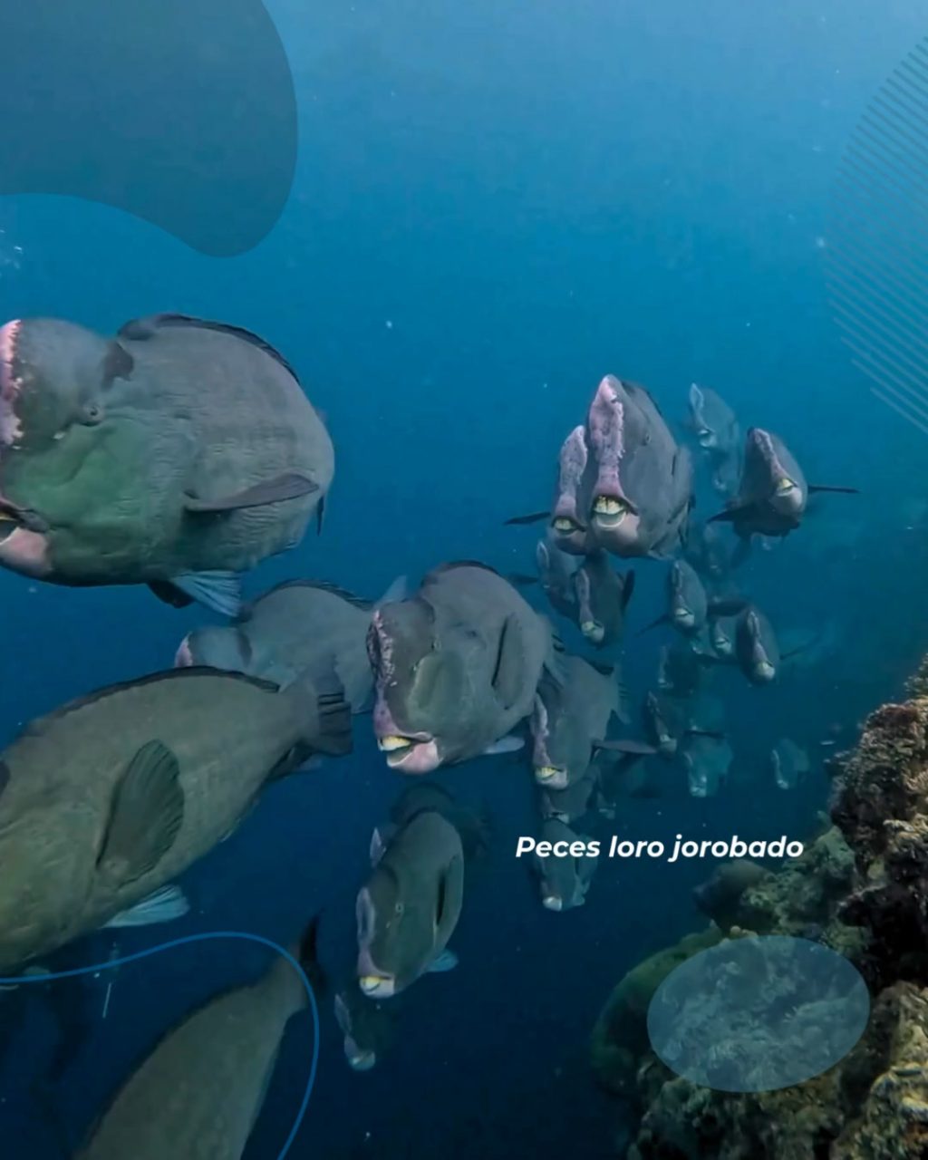 Instagram post from temoana_expeditions. This post is in position 4.