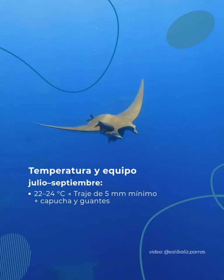 Instagram post from temoana_expeditions. This post is in position 1.