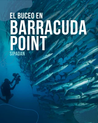 Instagram post from temoana_expeditions. This post is in position 9.