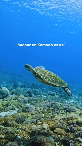 Instagram post from temoana_expeditions. This post is in position 2.