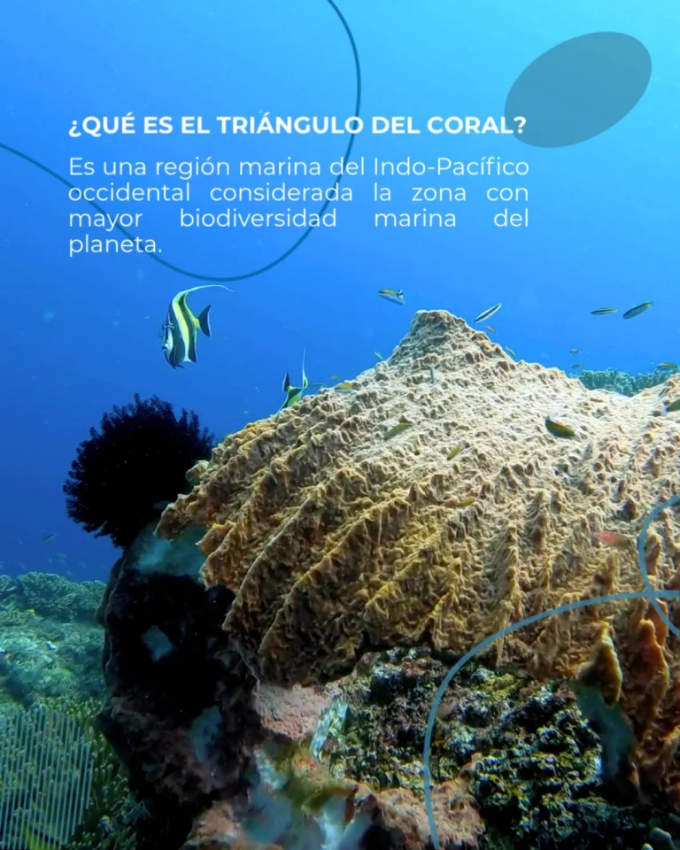 Instagram post from temoana_expeditions. This post is in position 1.