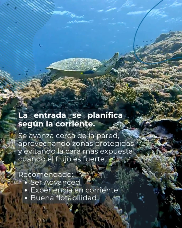 Instagram post from temoana_expeditions. This post is in position 4.