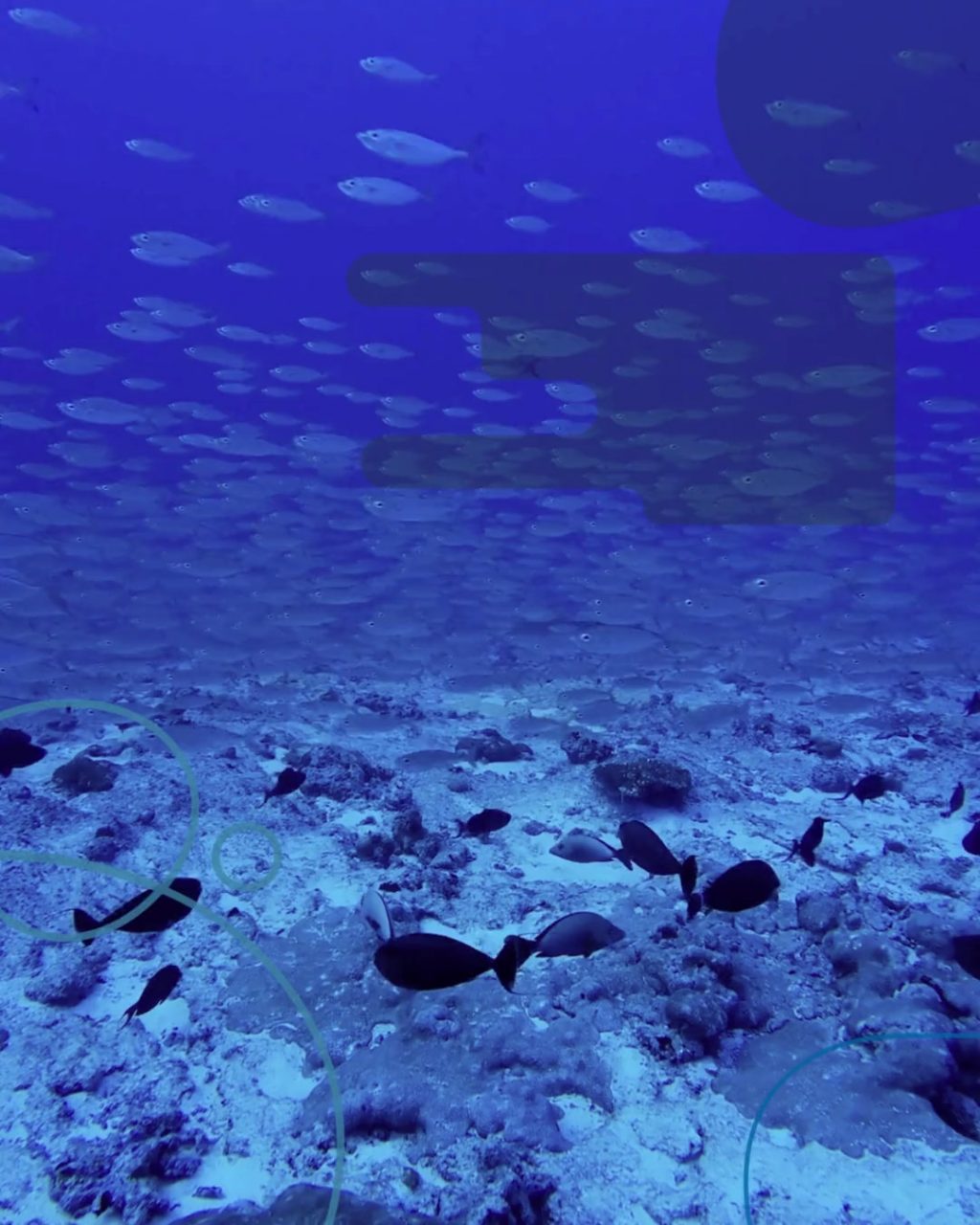 Instagram post from temoana_expeditions. This post is in position 2.