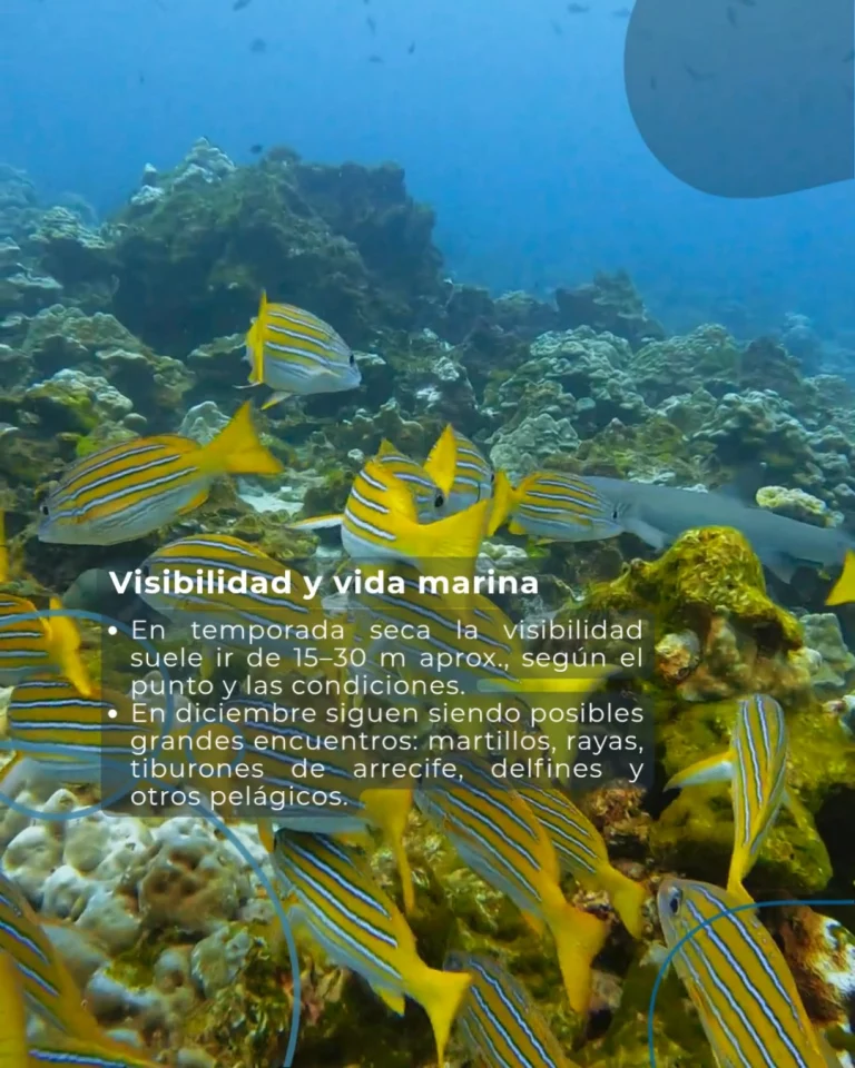 Instagram post from temoana_expeditions. This post is in position 2.
