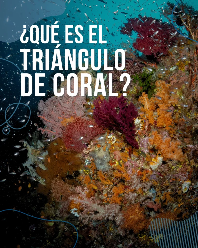 Instagram post from temoana_expeditions. This post is in position 0.