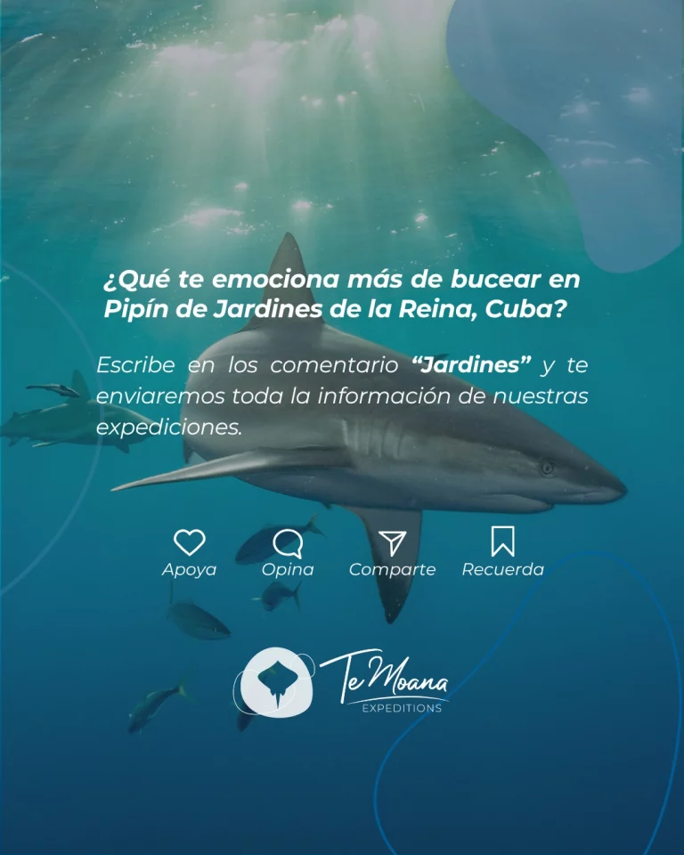 Instagram post from temoana_expeditions. This post is in position 6.