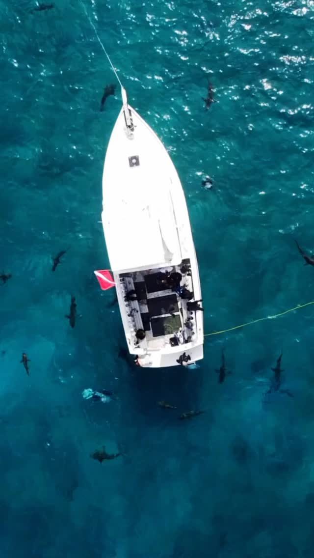 Instagram post from temoana_expeditions. This post is in position 12.