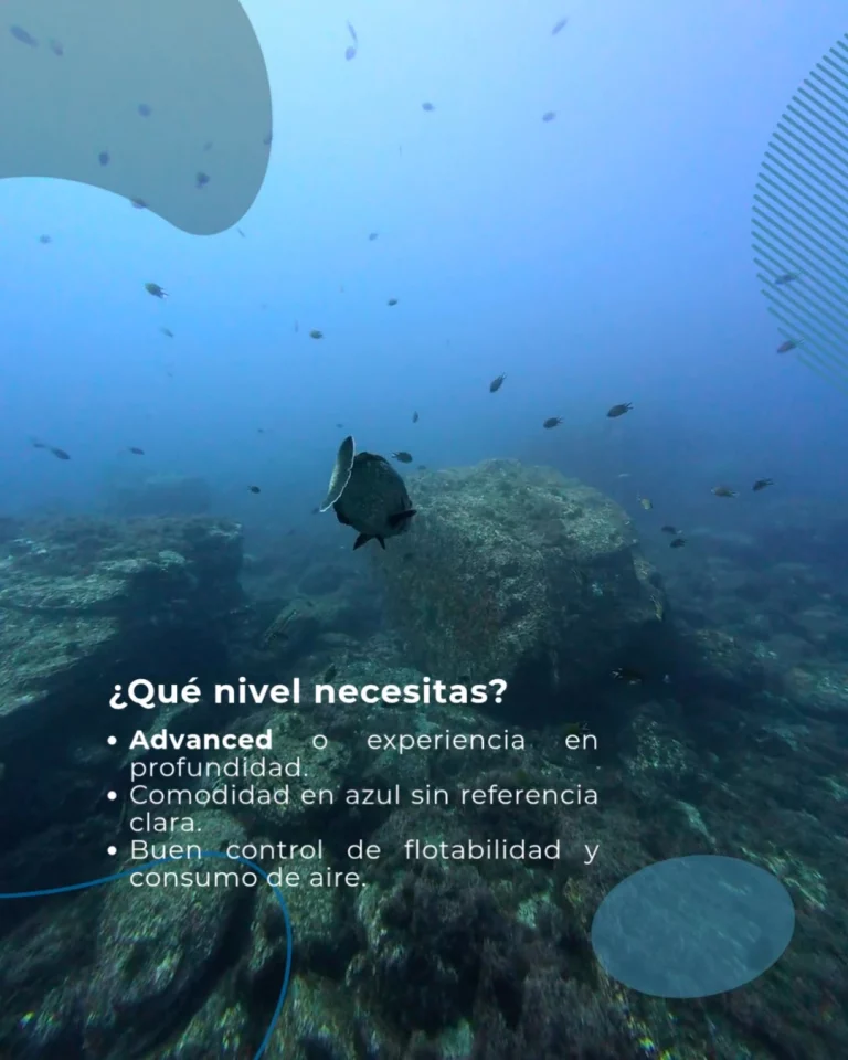 Instagram post from temoana_expeditions. This post is in position 3.