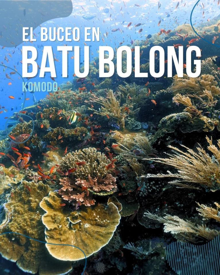 Instagram post from temoana_expeditions. This post is in position 0.