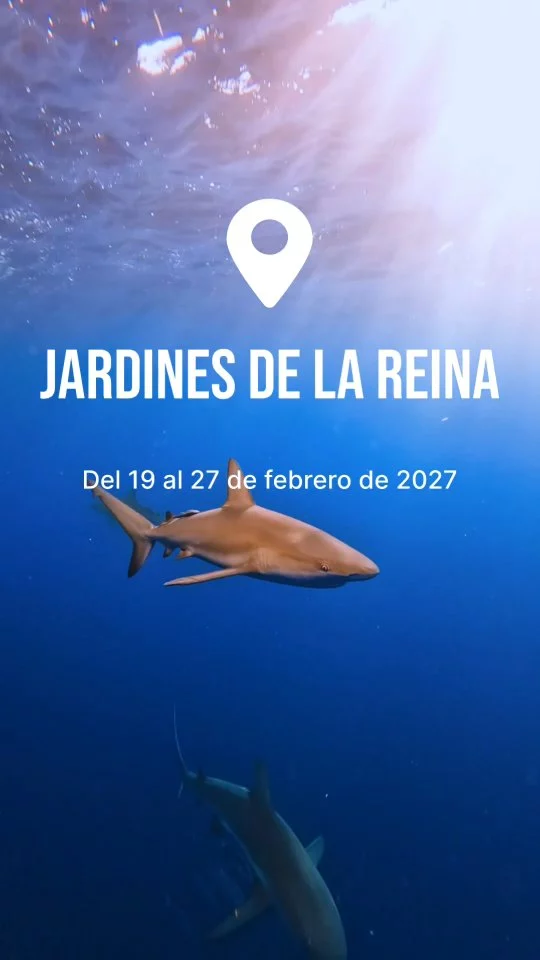 Instagram post from temoana_expeditions. This post is in position 0.