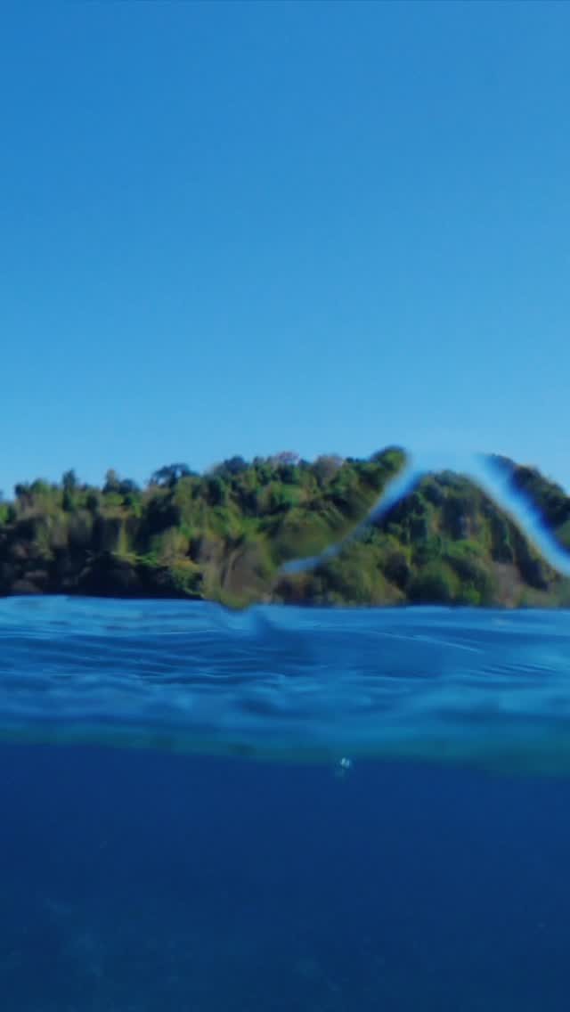 Instagram post from temoana_expeditions. This post is in position 15.