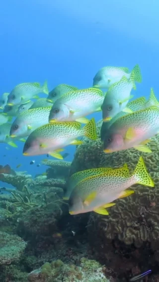 Instagram post from temoana_expeditions. This post is in position 17.