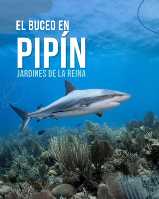 Instagram post from temoana_expeditions. This post is in position 1.