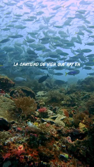 Instagram post from temoana_expeditions. This post is in position 1.