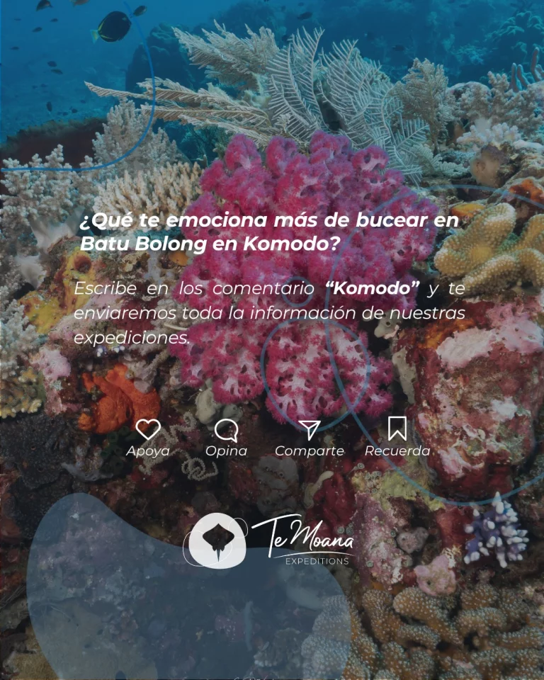 Instagram post from temoana_expeditions. This post is in position 5.