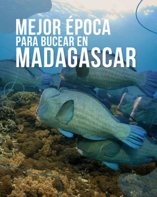 Instagram post from temoana_expeditions. This post is in position 18.