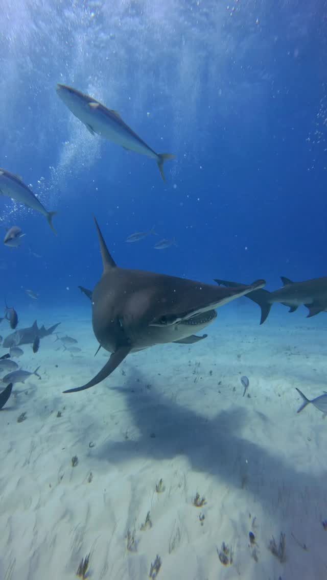 Instagram post from temoana_expeditions. This post is in position 15.