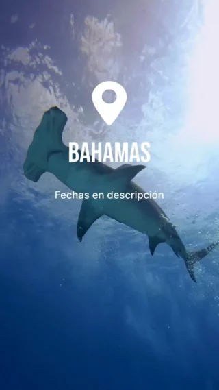 Instagram post from temoana_expeditions. This post is in position 16.