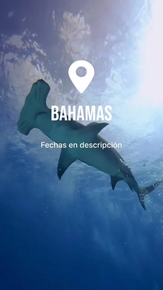 Instagram post from temoana_expeditions. This post is in position 15.