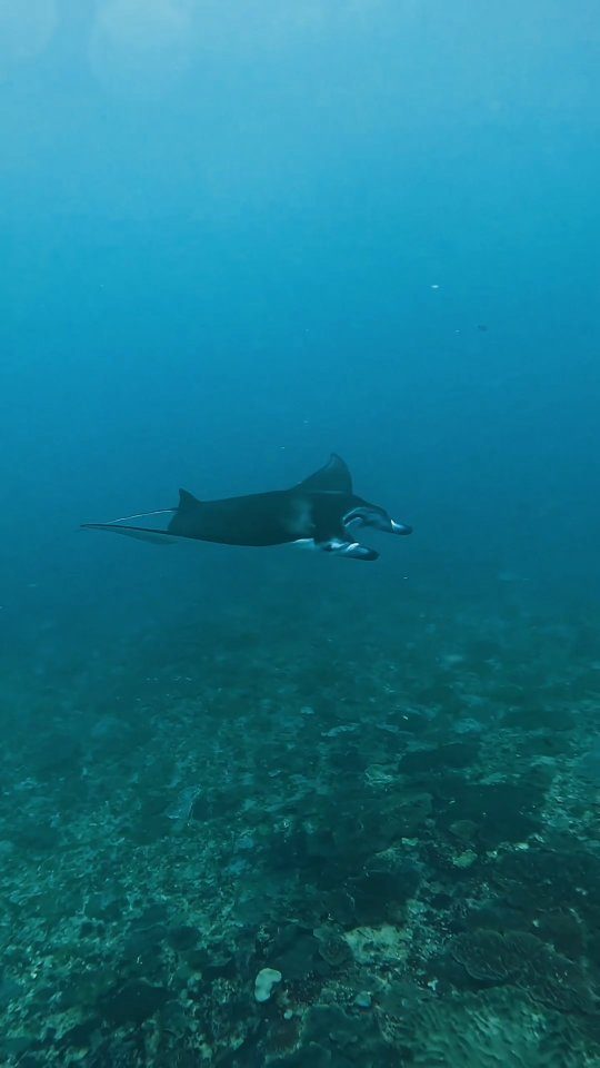 Instagram post from temoana_expeditions. This post is in position 0.
