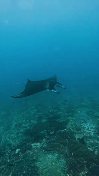 Instagram post from temoana_expeditions. This post is in position 2.