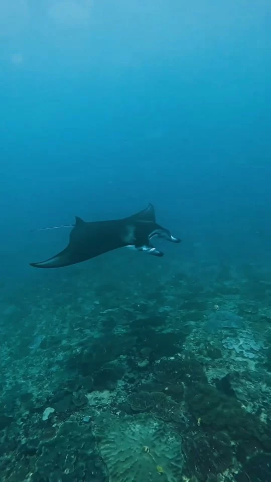 Instagram post from temoana_expeditions. This post is in position 1.