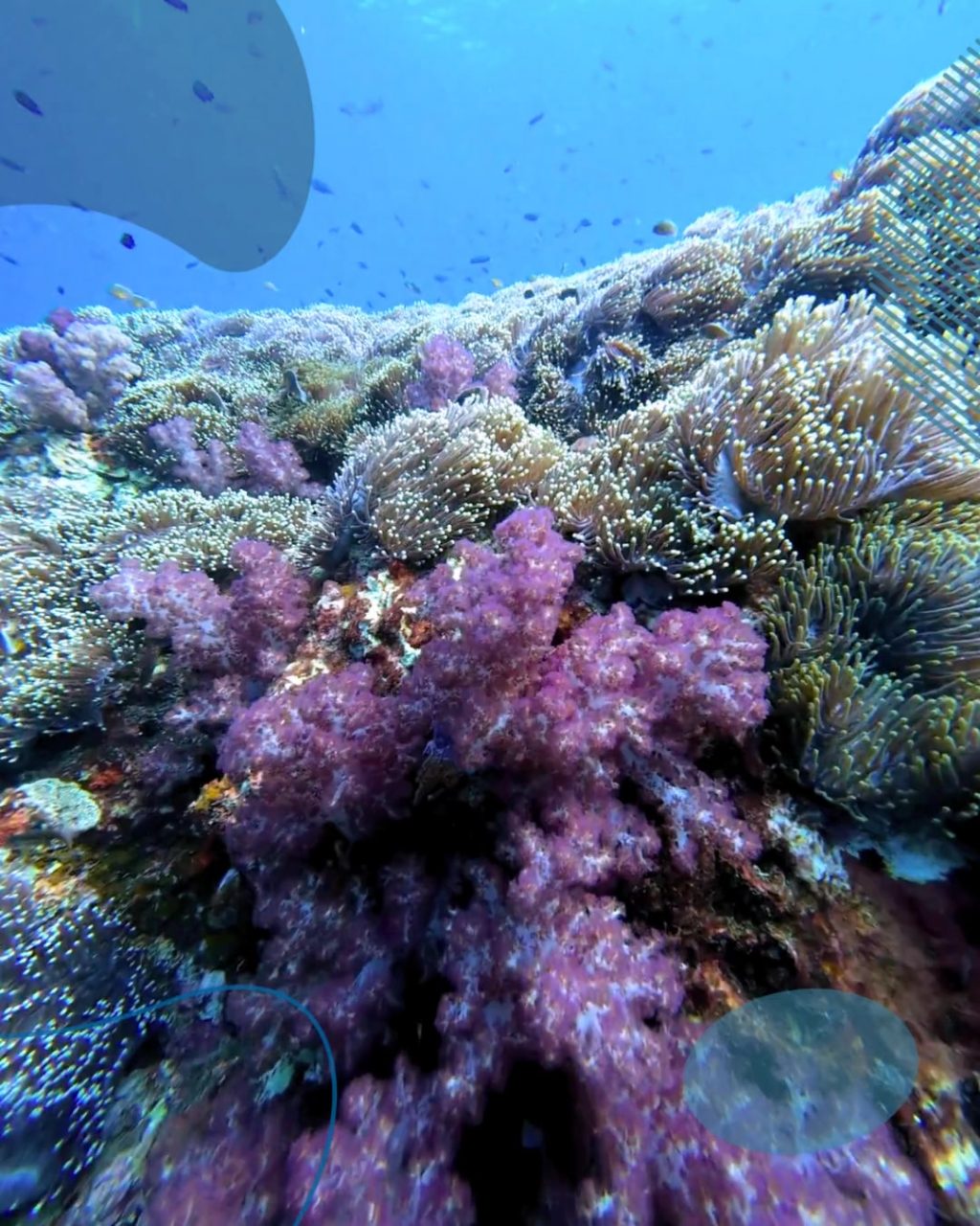 Instagram post from temoana_expeditions. This post is in position 3.