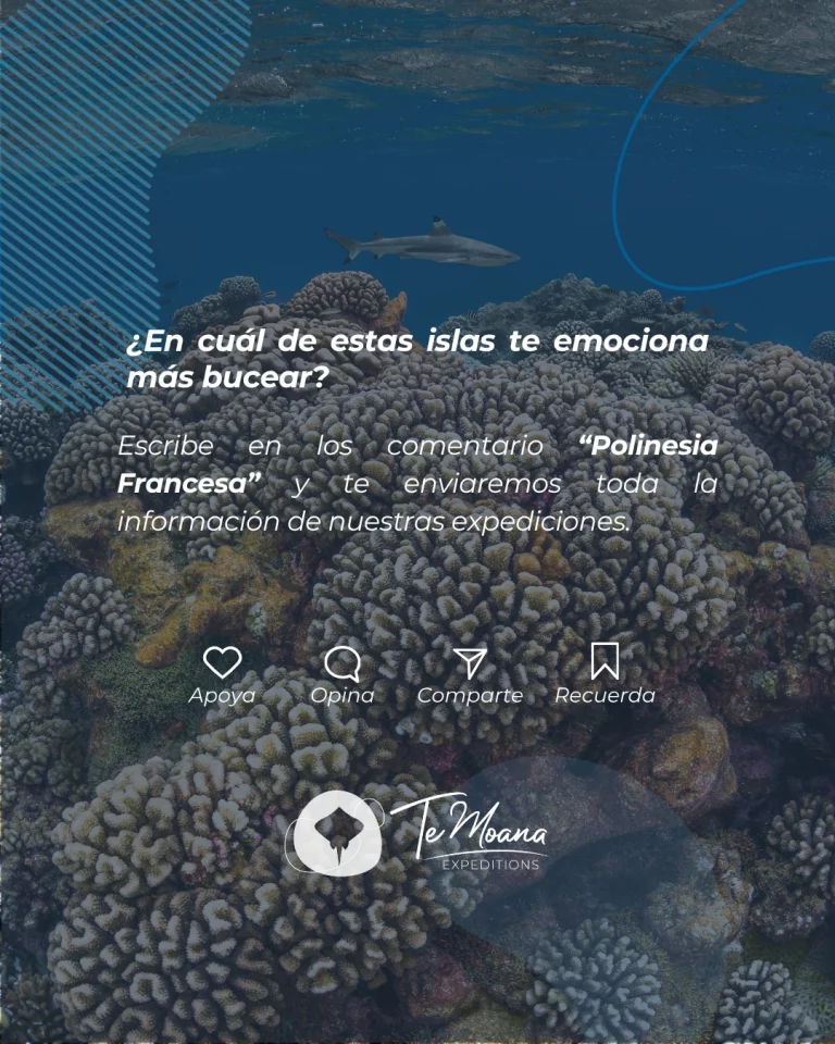 Instagram post from temoana_expeditions. This post is in position 4.