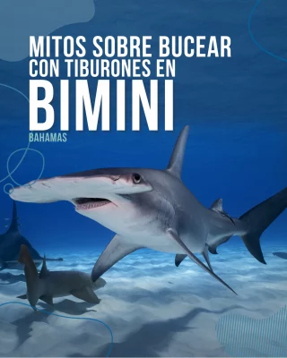 Instagram post from temoana_expeditions. This post is in position 15.