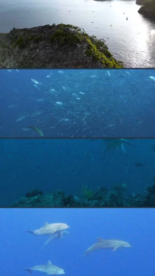 Instagram post from temoana_expeditions. This post is in position 1.