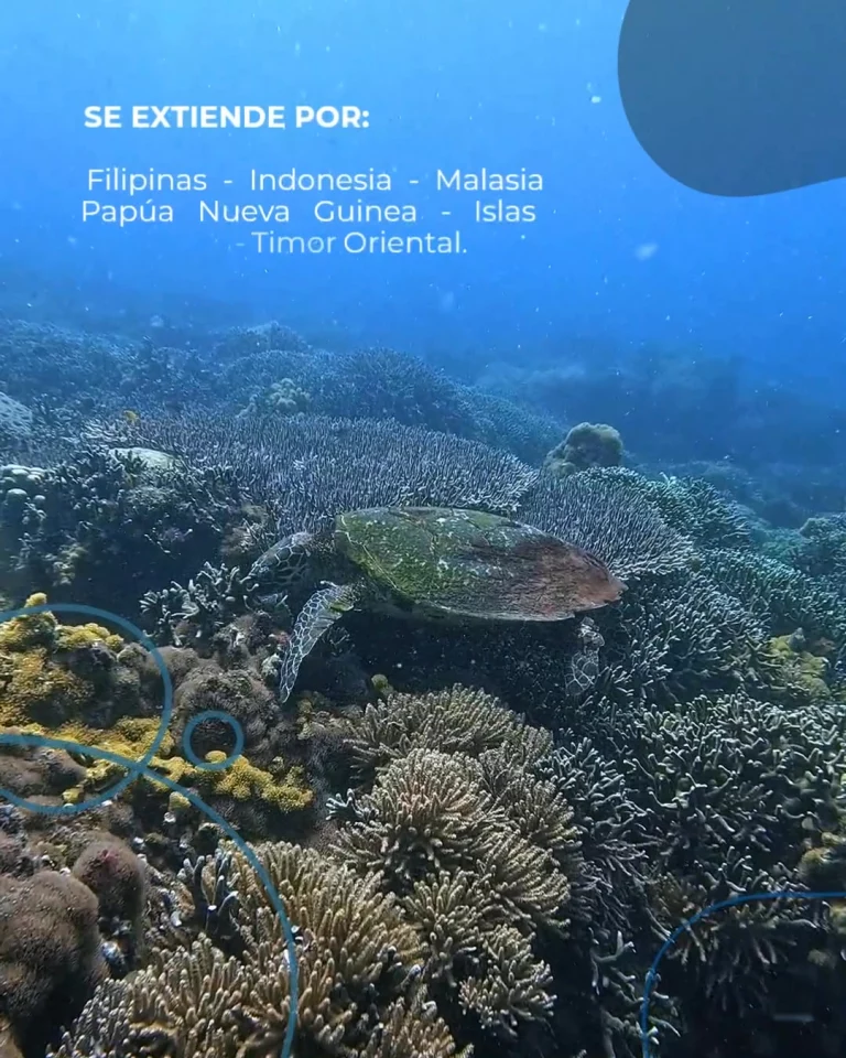 Instagram post from temoana_expeditions. This post is in position 2.