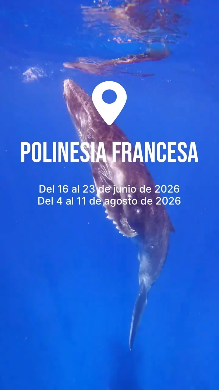 Instagram post from temoana_expeditions. This post is in position 6.