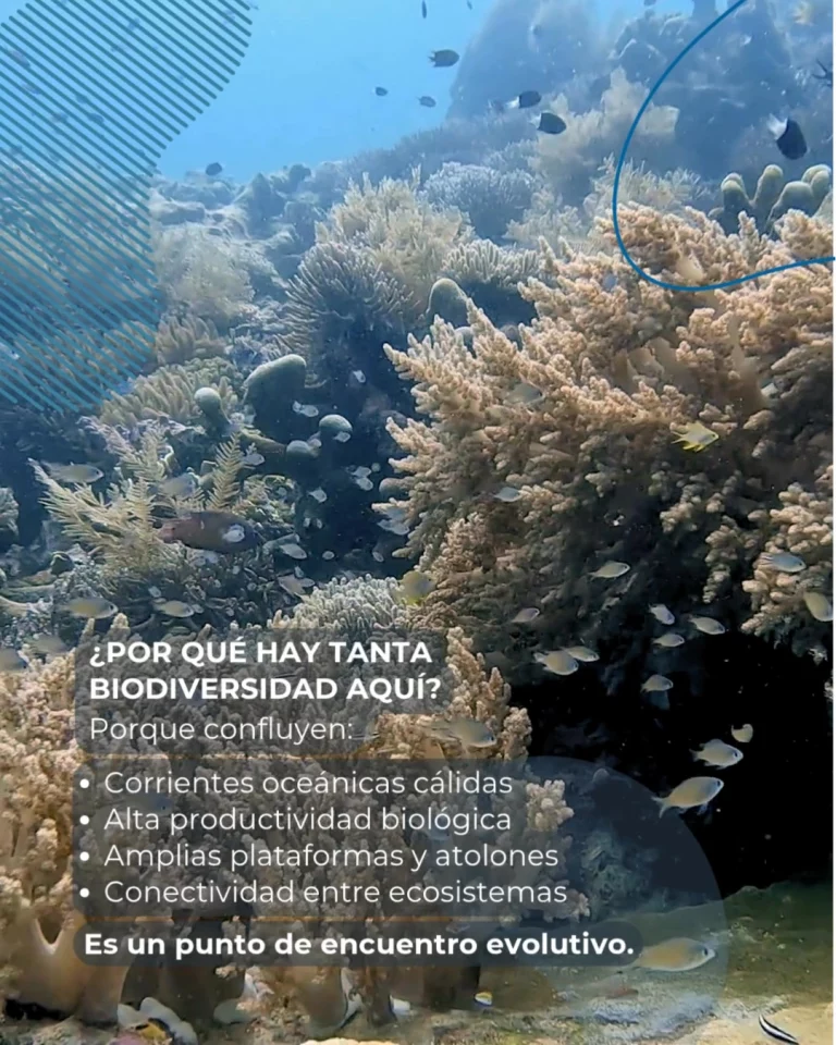 Instagram post from temoana_expeditions. This post is in position 4.