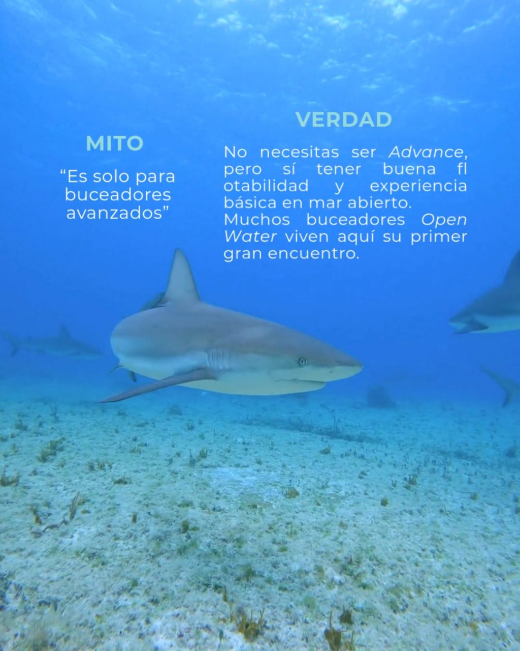Instagram post from temoana_expeditions. This post is in position 3.