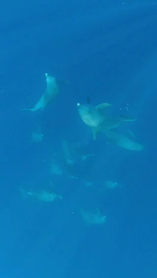 Instagram post from temoana_expeditions. This post is in position 19.